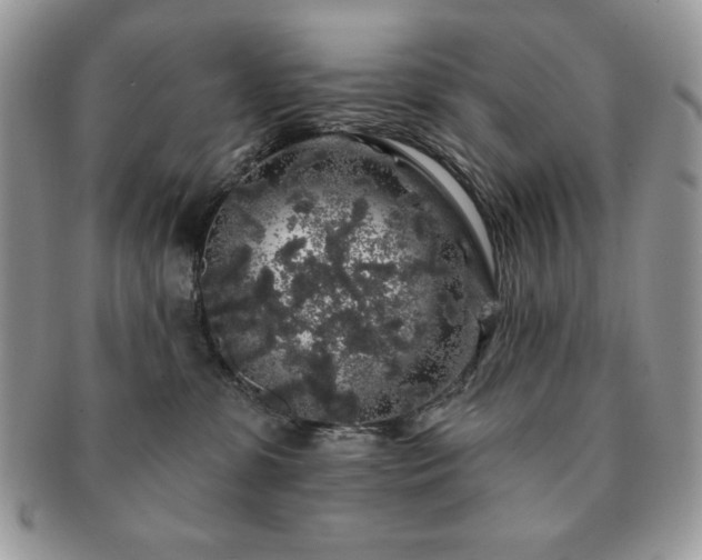X0000091190331200708161556