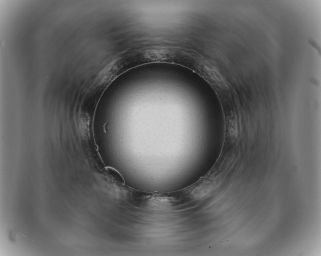 X0000091190332200708161556