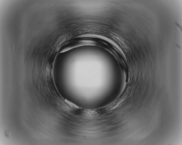 X0000091190333200708161556
