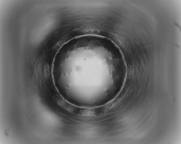 X0000091190335200708161556