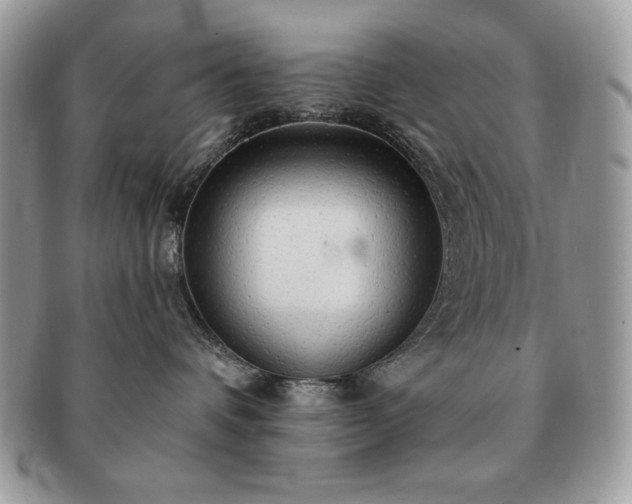 X0000091190336200708161556