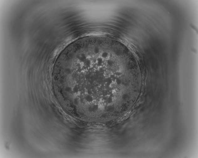 X0000091190337200708161555