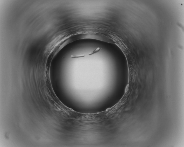 X0000091190338200708161555