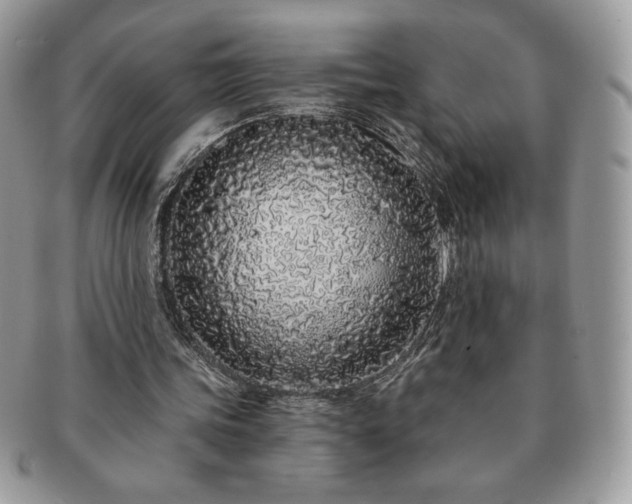 X0000091190339200708161555