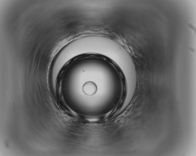 X0000091190340200708161555