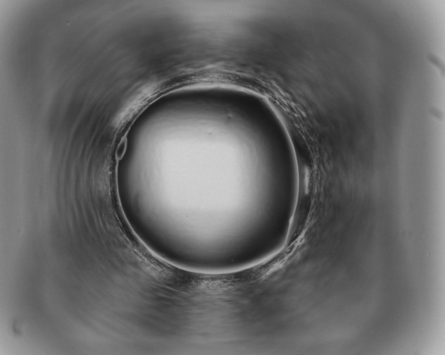 X0000091190341200708161556