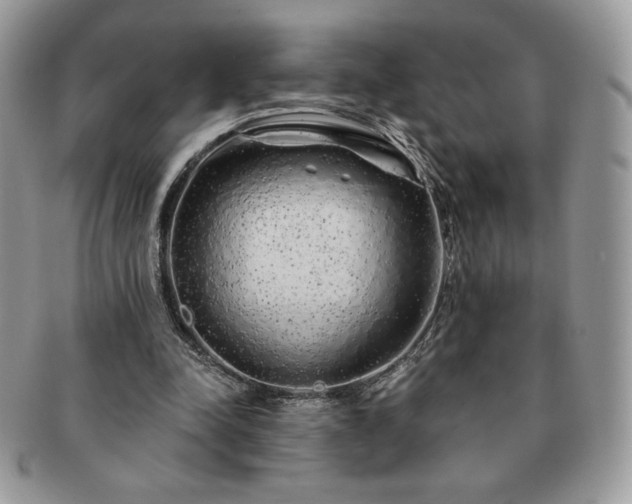 X0000091190342200708161556