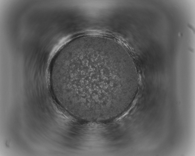 X0000091190343200708161556