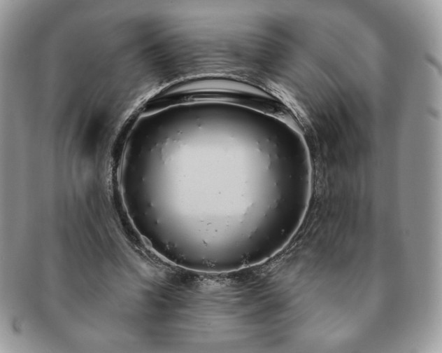 X0000091190346200708161556