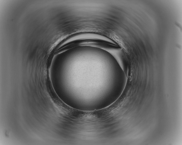 X0000091190348200708161556