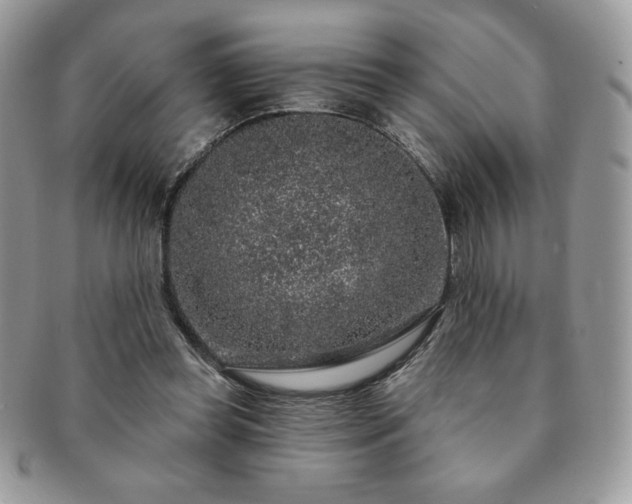 X0000091190349200708161556