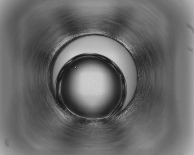 X0000091190350200708161556
