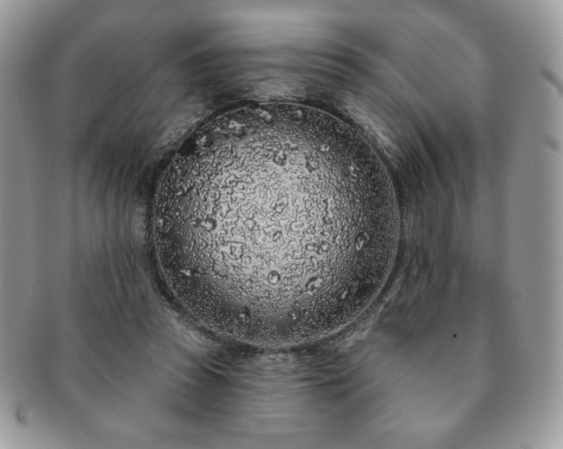 X0000091190353200708161556