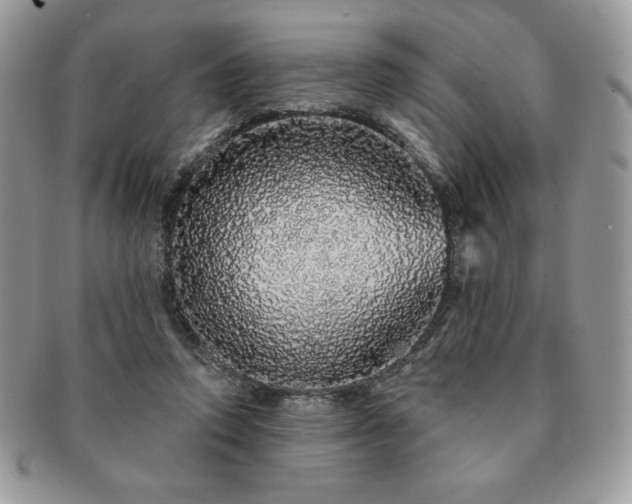 X0000091190354200708161556