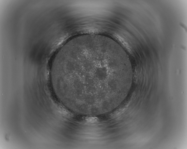 X0000091190355200708161556