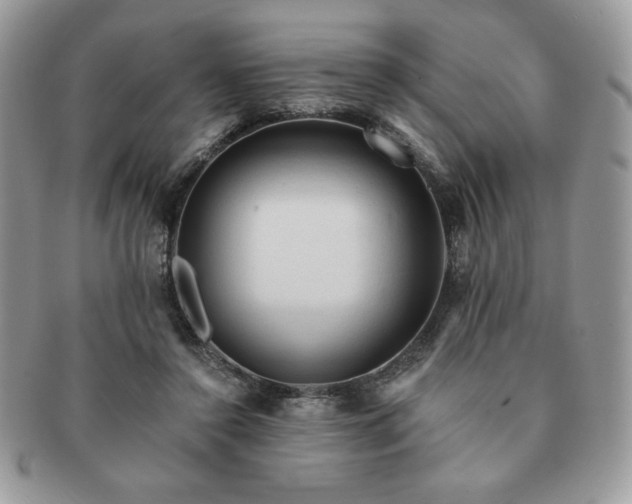 X0000091190356200708161556