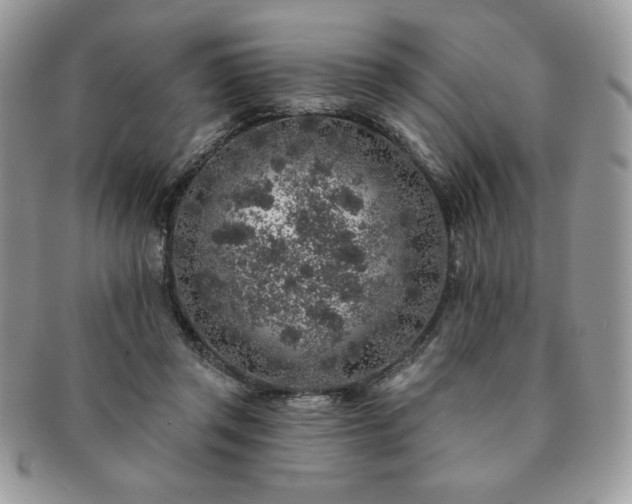 X0000091190357200708161556