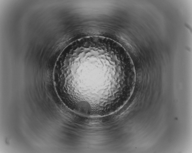 X0000091190359200708161556