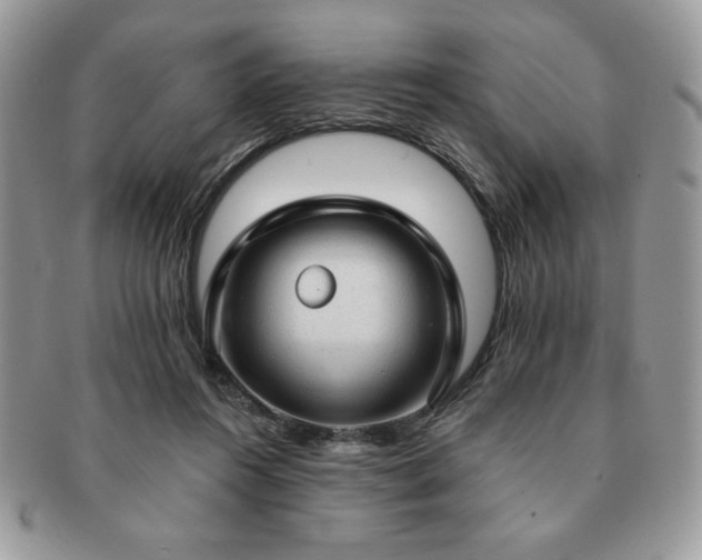 X0000091190360200708161556