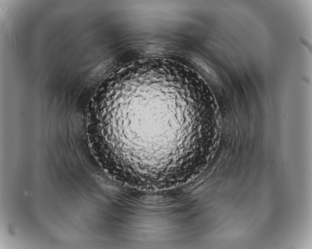 X0000091190361200708161556