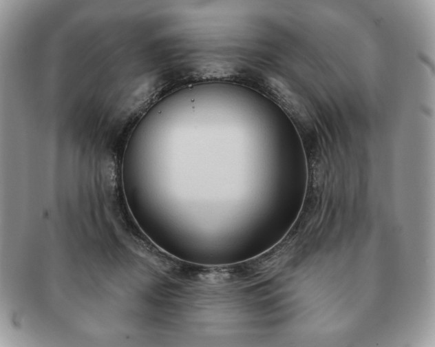 X0000091190362200708161556