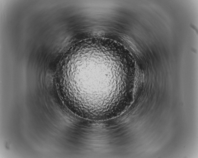 X0000091190363200708161556