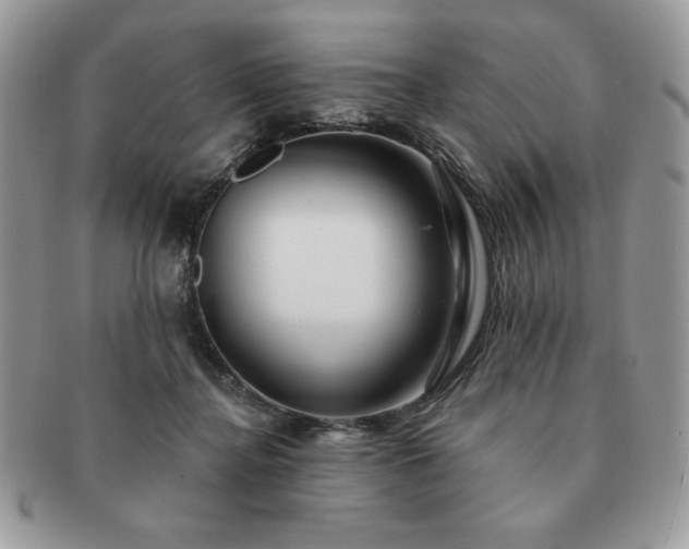 X0000091190364200708161556