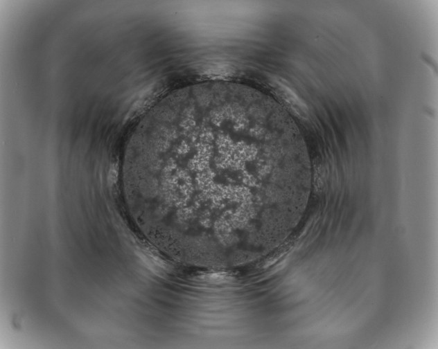 X0000091190365200708161556
