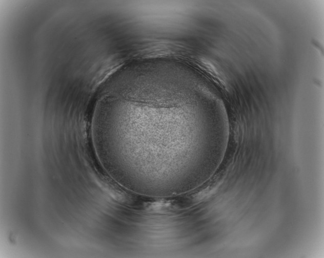 X0000091190366200708161556