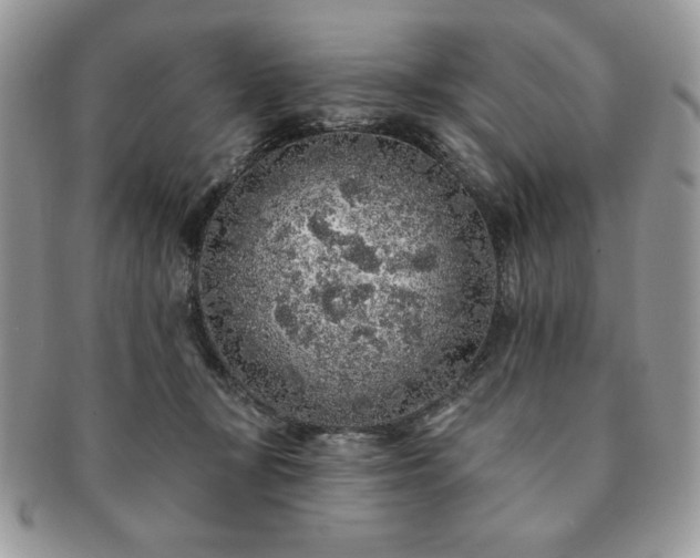 X0000091190367200708161556