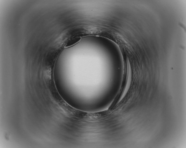 X0000091190368200708161556