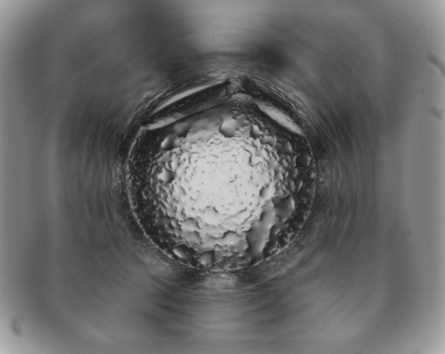 X0000091190369200708161556