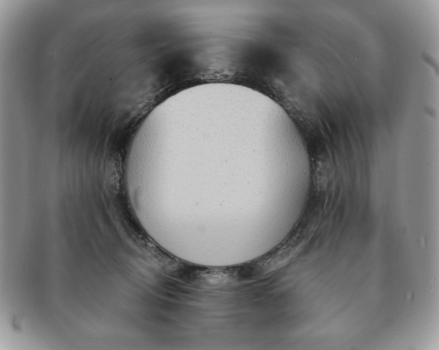 X0000091190370200708161556
