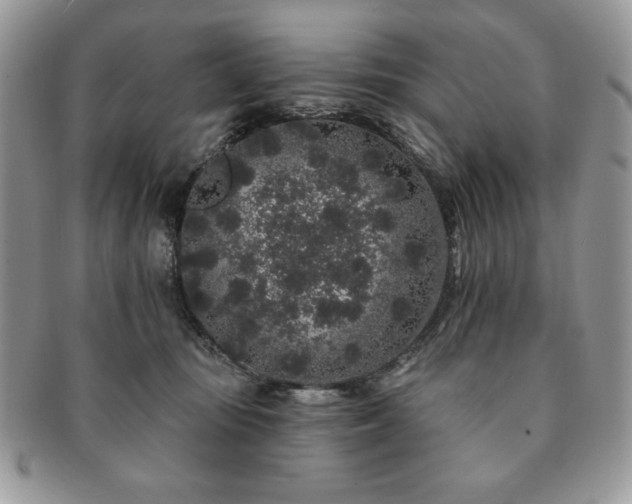 X0000091190371200708161556
