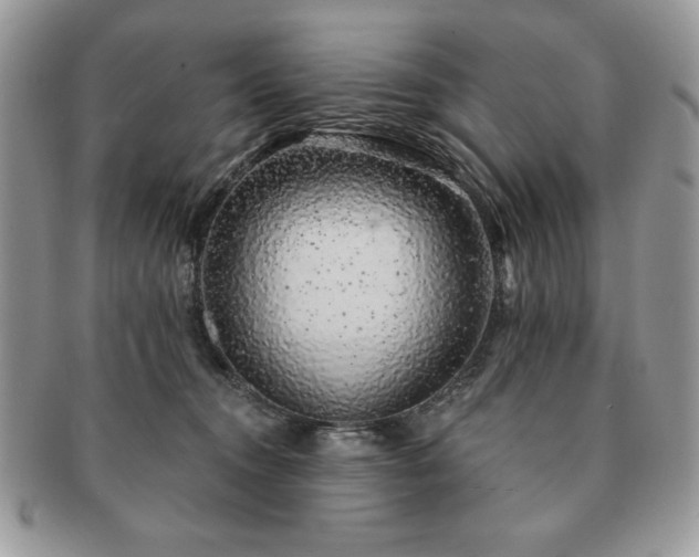 X0000091190372200708161556