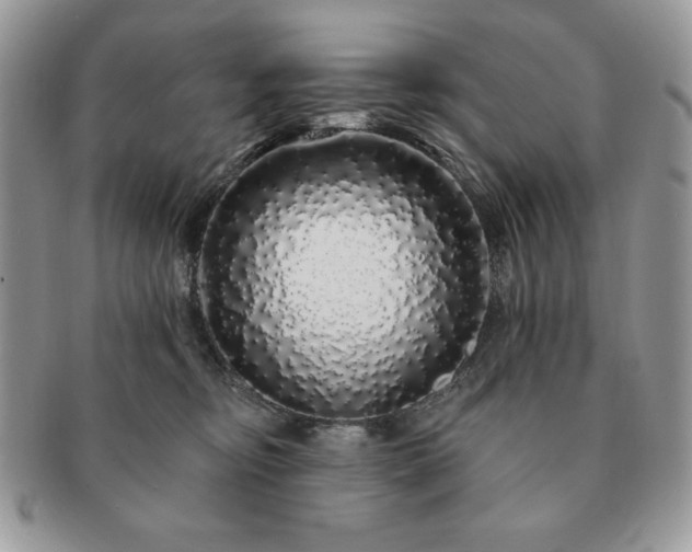 X0000091190374200708161556