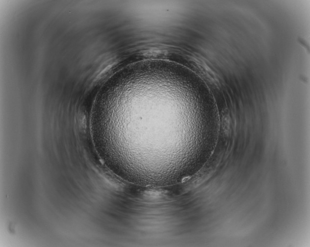X0000091190375200708161556