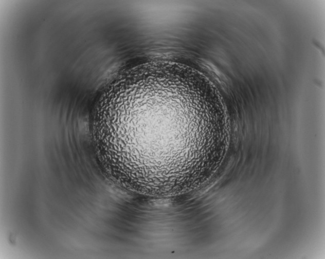 X0000091190377200708161556