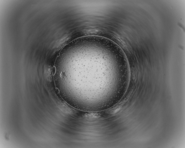 X0000091190378200708161556