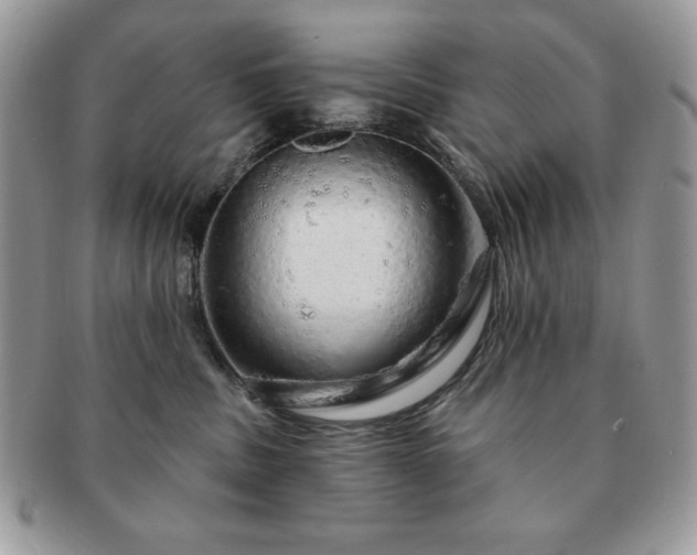 X0000091190379200708161556