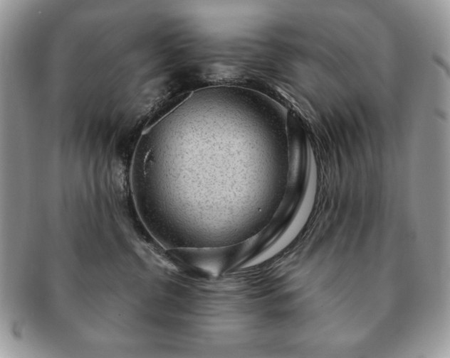 X0000091190380200708161556