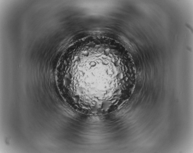 X0000091190381200708161556