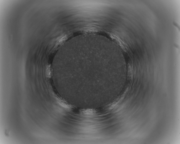 X0000091190383200708161556