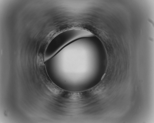 X0000091190384200708161556