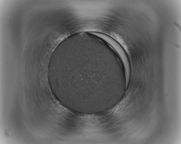 X0000091190385200708161555