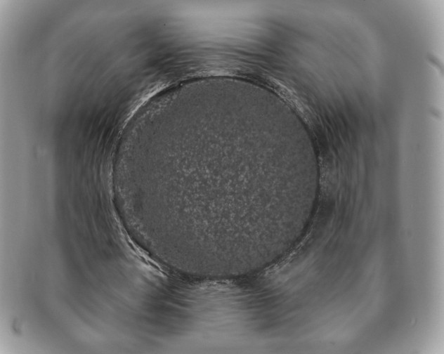 X0000091190386200708161555