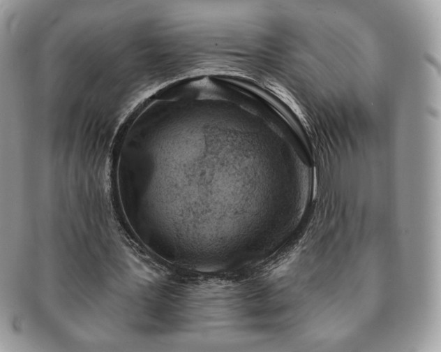 X0000091190387200708161555
