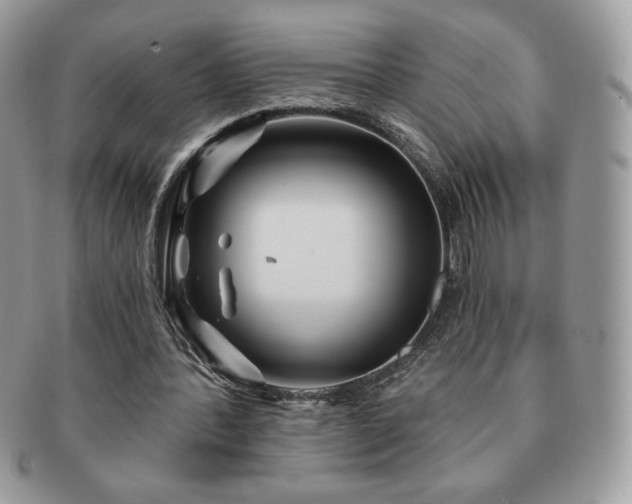 X0000091190388200708161555