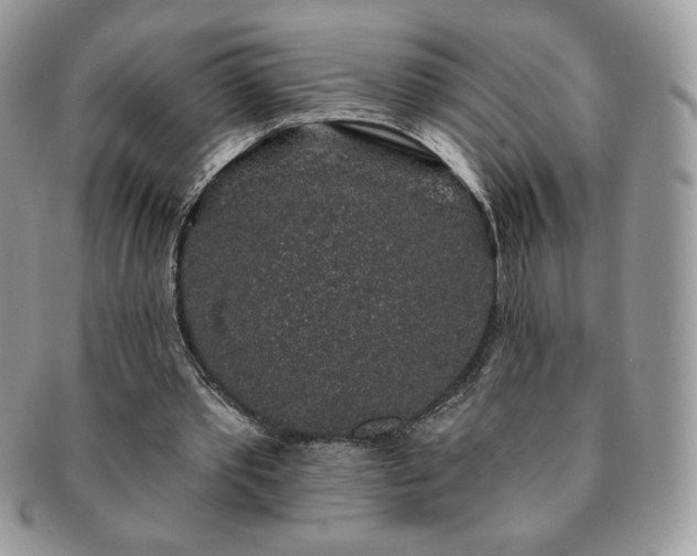 X0000091190389200708161555