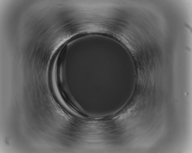 X0000091190391200708161555